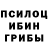 Галлюциногенные грибы мицелий Kornej Epp