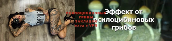 ГАЛЛЮЦИНОГЕННЫЕ ГРИБЫ Козельск