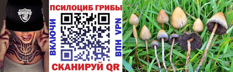 цена наркотик это клад Галлюциногенные грибы мицелий Киселёвск