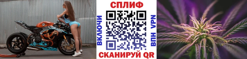 kraken ссылки  Киселёвск  Марихуана сатива 